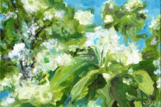 Trompetenbaum, Öl auf Malkarton13 x 18 cm 2023